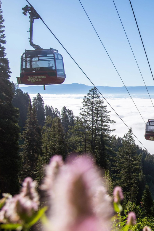 Jackson Hole: Aerial Tram and Gondolas Sightseeing - The smooth, fast ride up: Jackson Hole Aerial Tram to 10,450 feet