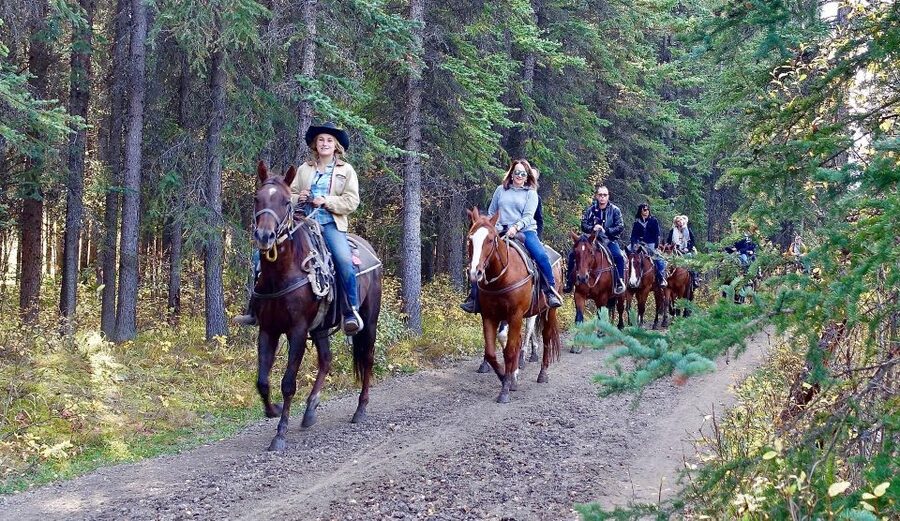 Jackson Hole: Bridger-Teton National Forest Horseback Ride - Heart Six Ranch, Tetons Views, and a True Backcountry Feel
