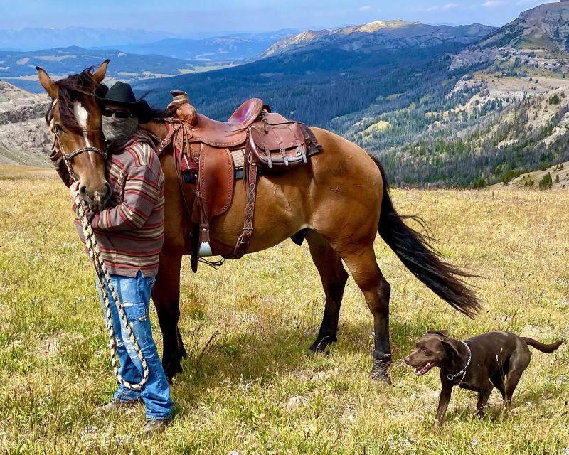 Jackson Hole: Bridger-Teton National Forest Horseback Ride - The 90-Minute or Half-Day Options, Plus the Pre-Ride Skills Intro