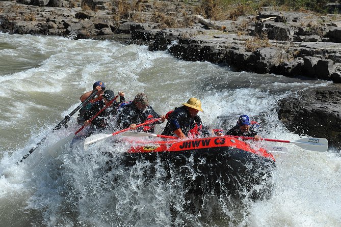 Jackson Hole Whitewater Rafting Classic from Jackson Hole,Wyoming - Who should book this Snake River Classic, and who should not
