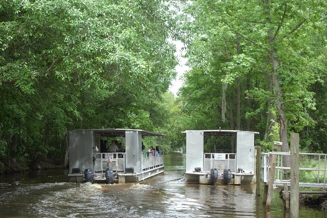 Jean Lafitte 90-Minute Swamp and Bayou Boat Tour - Time It Right, Choose Your Departure, And Think About Food