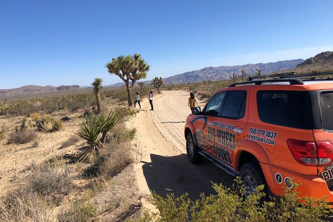 Joshua Tree National Park Offroad Tour - The 5-Hour Plan: How You Spend Your Time in Joshua Tree