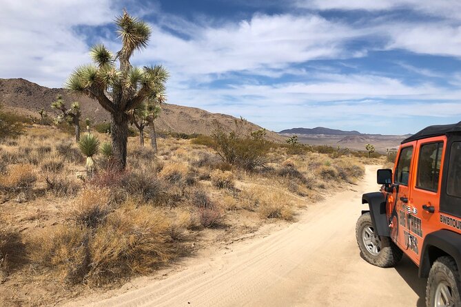 Joshua Tree National Park Offroad Tour - What the Guide Actually Adds: Live Commentary That Makes Desert Scenes Click