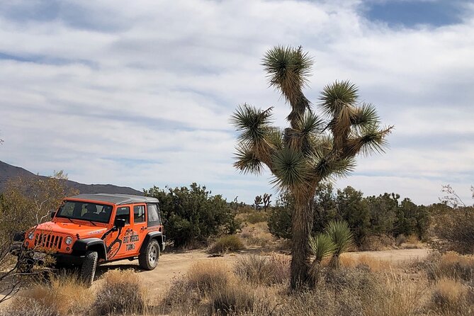 Joshua Tree National Park Offroad Tour - Included vs Extra Costs: The $15 Entrance Fee