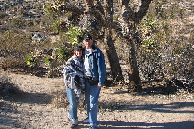 Joshua Tree National Park Scenic Tour - Stop 1: Joshua Tree National Park, where the geology is the main character