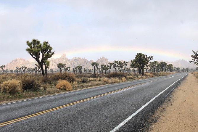 Joshua Tree National Park Scenic Tour - Stop 2: Cap Rock Trail, the San Andreas Fault in your view