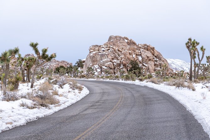 Joshua Tree National Park Self-Guided Driving Audio Tour - Entering Joshua Tree Visitor Center to Samuelsons Rock: start with context