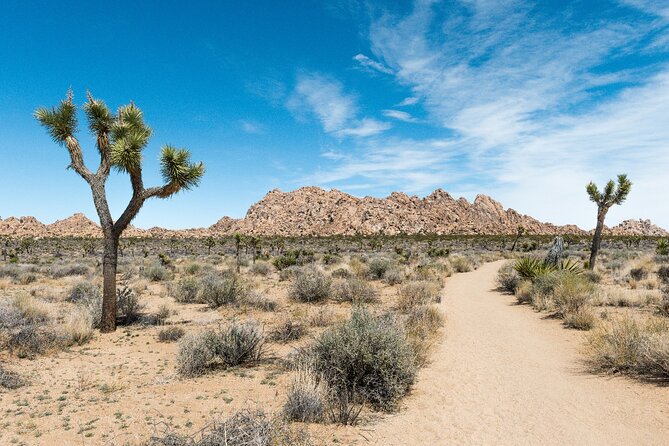 Joshua Tree National Park Self-Guided Driving Audio Tour - Willow Hole and Hemingway Buttress: desert mirage vibes and climbing icons