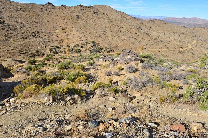 Joshua Tree National Park Self-Guided Driving Audio Tour - Hidden Valley Nature Trail plus Intersection and Cap Rock: short walks, big payoff