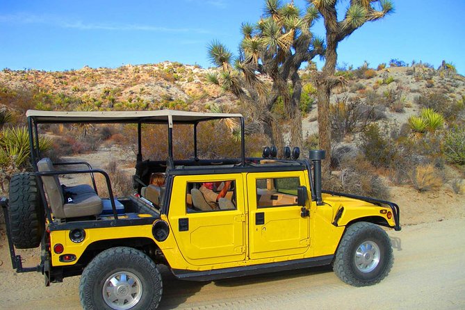 Joshua Tree Open Air Hummer Adventure - Open-Air H1 Hummer, Not a Tour Bus