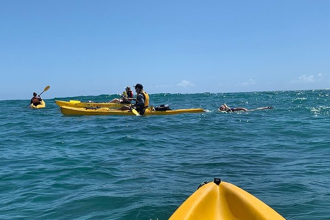Kailua 2-Hour Guided Kayaking Excursion, Oahu - Who Should Book This Kayak Tour