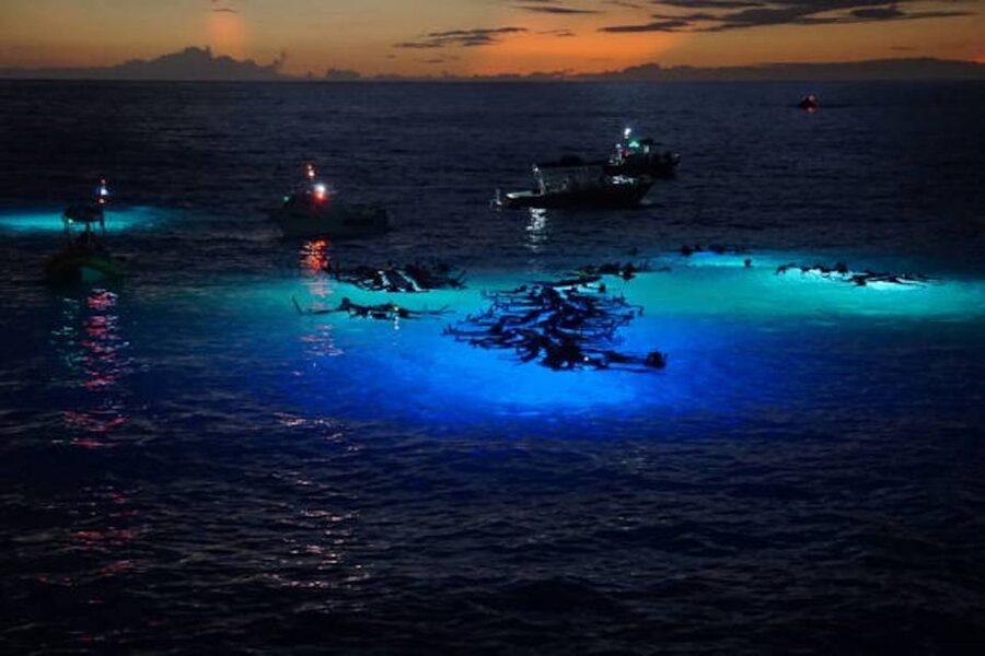 Kailua-Kona: Manta Ray Watching Nighttime Boat Trip - How the Crew Finds Mantas and Sets Your Viewing Moment