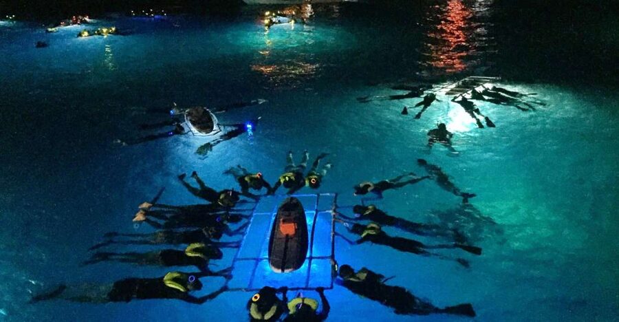 Kailua Kona: Night Manta Ray Adventure on the Big Island - What Actually Happens at the Manta Spot