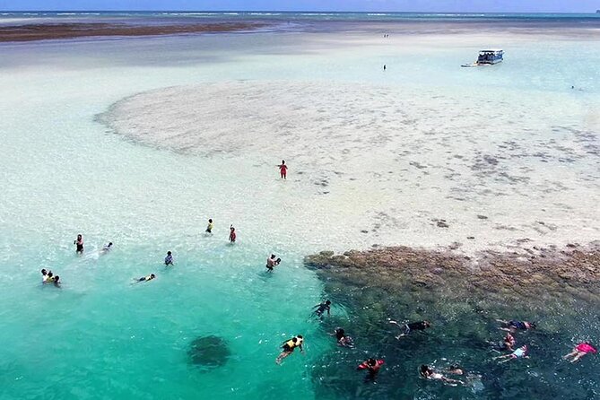 Kaneohe Sandbar Snorkeling Tour - 2nd Tour - From Heʻeia Kea to Kaneohe Sandbar, Without the Hassle