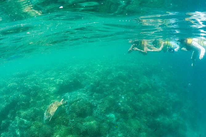 Kaneohe Sandbar Snorkeling Tour - 2nd Tour - Price and Value: What You Pay and What You Get