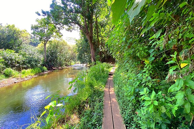 Kauai Adventure: Kayak & Hike to Secret Falls with Expert Guide - Secret Falls Swim Time: Refreshing, Wet, and Worth the Work