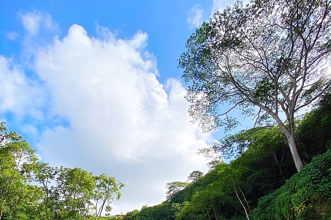 Kauai Adventure: Kayak & Hike to Secret Falls with Expert Guide - Getting the Best Value for $140: What You Pay For