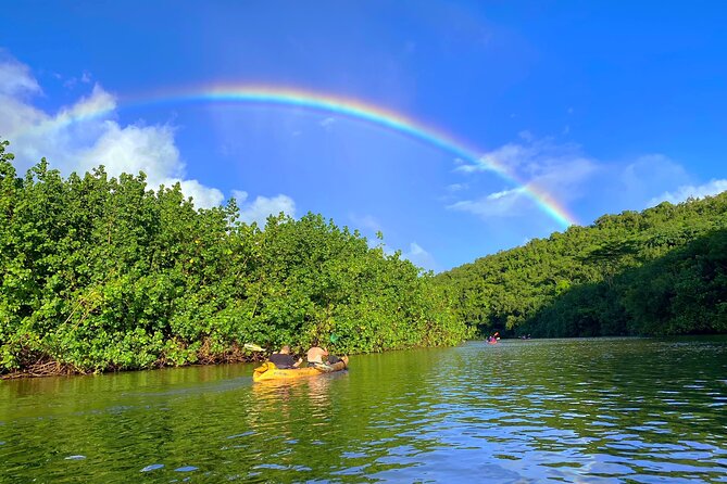 Kauai Adventure: Kayak & Hike to Secret Falls with Expert Guide - Timing, Meeting Point, and How to Avoid a Stress Spiral