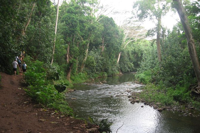 Kauai Adventure: Kayak & Hike to Secret Falls with Expert Guide - Wailua River Paddling Lesson, Wildlife, and Real Local Stories