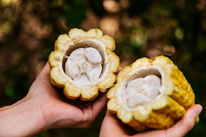 Kauai Chocolate Farm Tasting Tour - Tasting lineup: what you’ll likely eat and why it matters