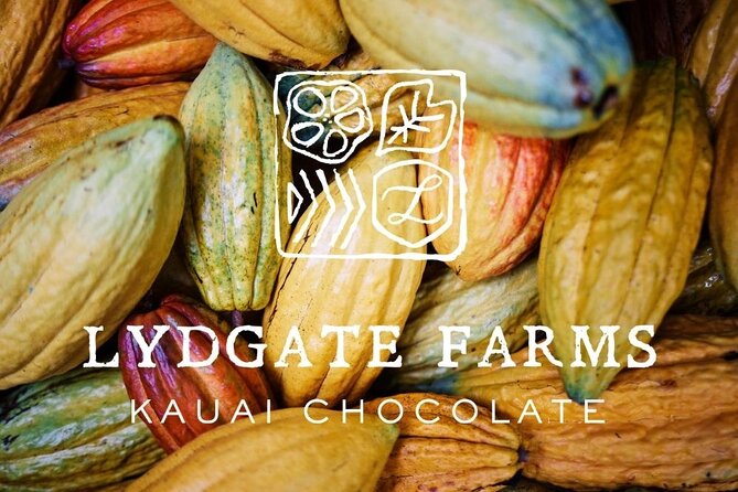 Kauai Chocolate Farm Tasting Tour - Walking the botanical gardens: fruit and flavor first