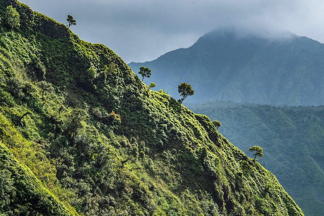 Kauai Eco Adventure Helicopter Tour - Your Route Around Kauai: Stops That Make Sense