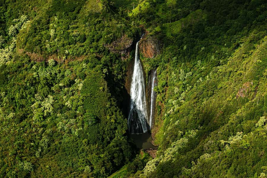 Kauai: Entire Kauai Air Tour with Window Seats - Meeting at Air Ventures Hawaii, plus how to pick your seat