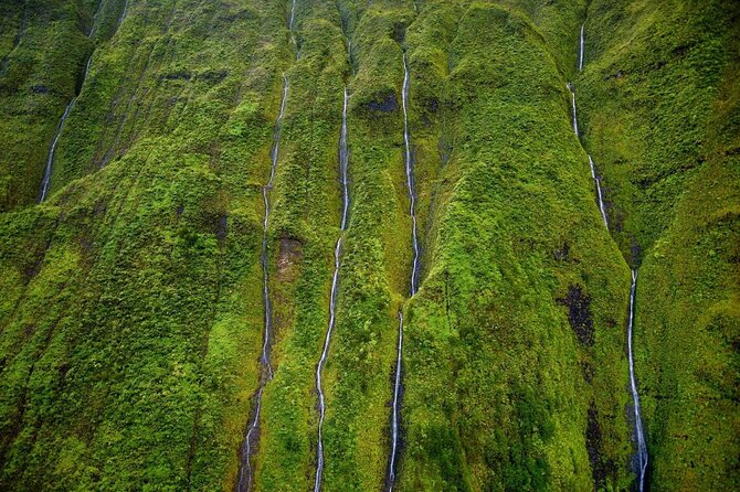 Kauai: Hughes 500 4-Passenger Doors-Off Helicopters - Hanalei Valley: rivers and more waterfalls in the green