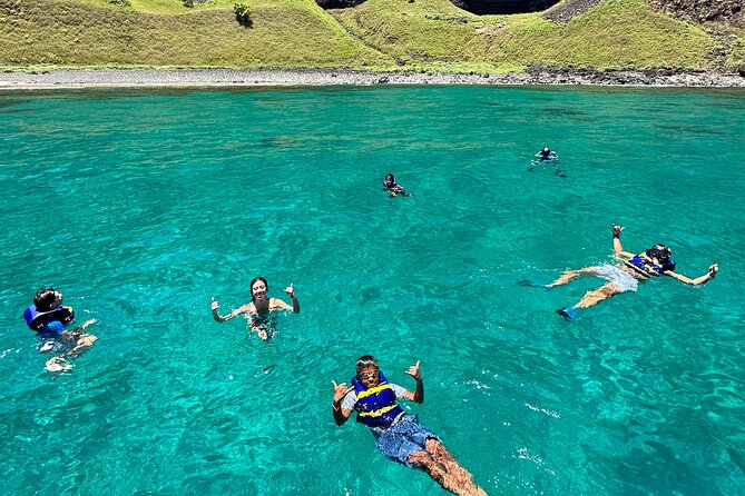 Kauai: Na Pali Coast Power Catamaran - Wildlife Chances That Make the Trip Worth It