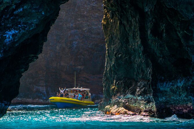 Kauai: Na Pali Coast Super Raft Snorkel Adventure - Wildlife spotting: dolphins, whales, turtles, and the real odds