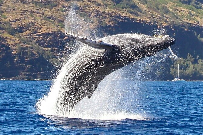 Kauai: Nā Pali Coast Zodiac Raft Expedition and Snorkeling - What you get onboard, snacks, and what you should bring