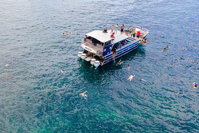 Kauai: NaPali Boat Tour on the Amelia K - Season matters: whales in the winter schedule, snorkeling when it works