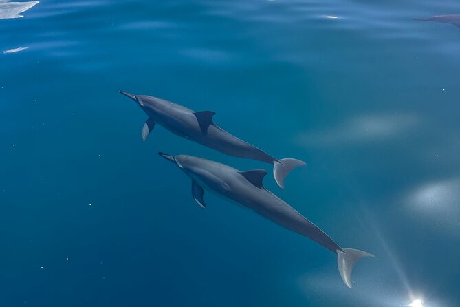 Kauai: NaPali Boat Tour on the Amelia K - Boat comfort and the small rules that actually matter