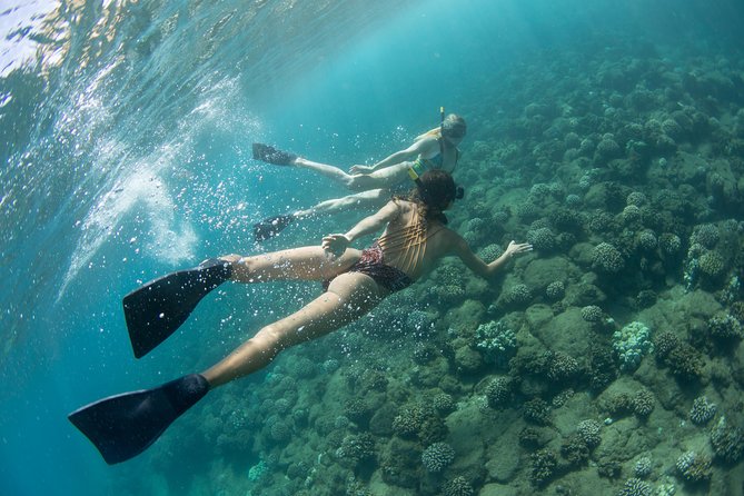 Kauai’s Na Pali Coast Snorkel and Sail Tour - Stop 2: Polihale State Park views and why this detour is worth it