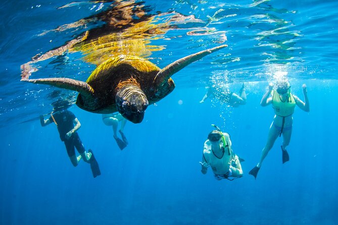 Kauai's Ultimate South Island Zodiac Boat Snorkel Adventure - Meeting at 3417 Poipu Rd: how to plan your 3 hours
