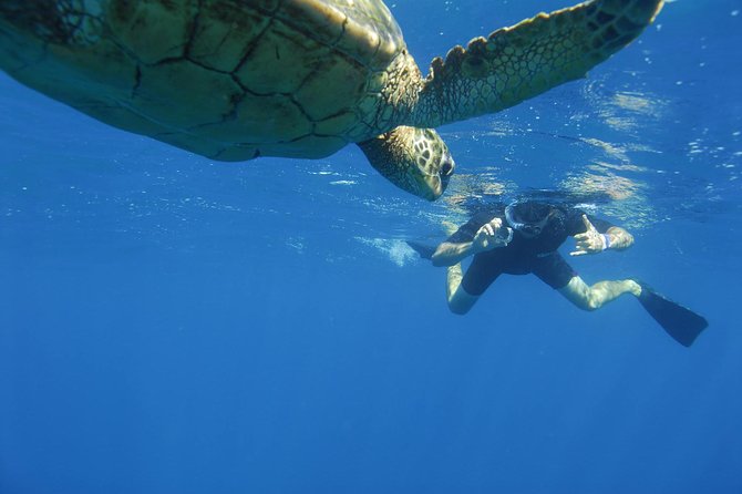 Kauai's Ultimate South Island Zodiac Boat Snorkel Adventure - How the guides help you snorkel without turning it into a swim class