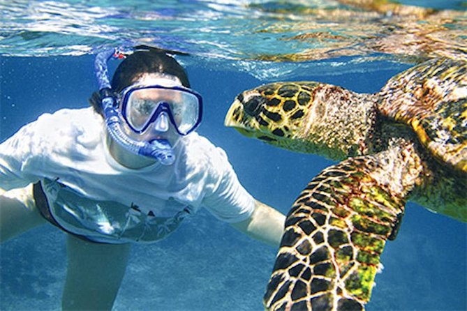 Kauai's Ultimate South Island Zodiac Boat Snorkel Adventure - Small-group cruising: why the max 13 matters in real life