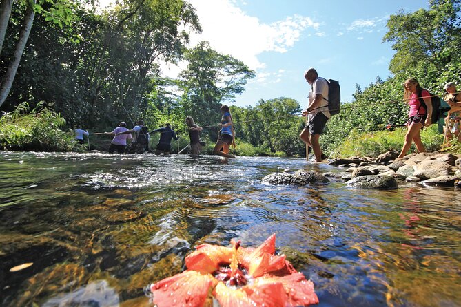 Kauai: Secret Falls Kayak and Hike - Wailua River + Secret Falls: the smart way to do two Kauai favorites