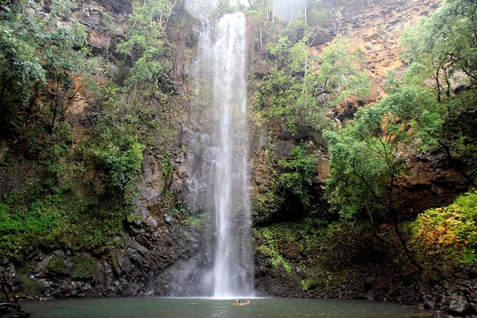Kauai: Secret Falls Kayak and Hike - Price and value: why $125 can make sense for this specific day