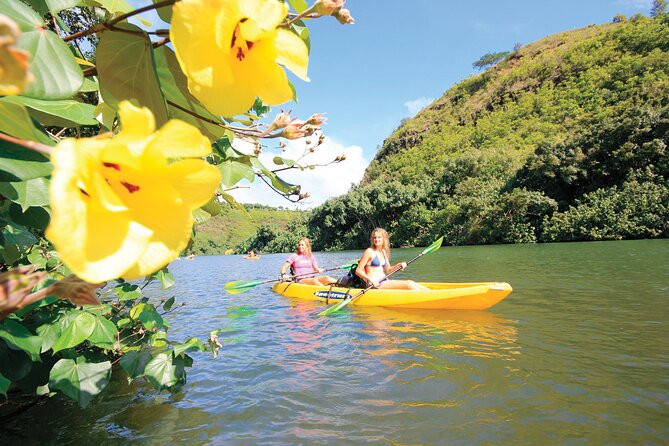Kauai: Secret Falls Kayak and Hike - Who should book this and who should skip it