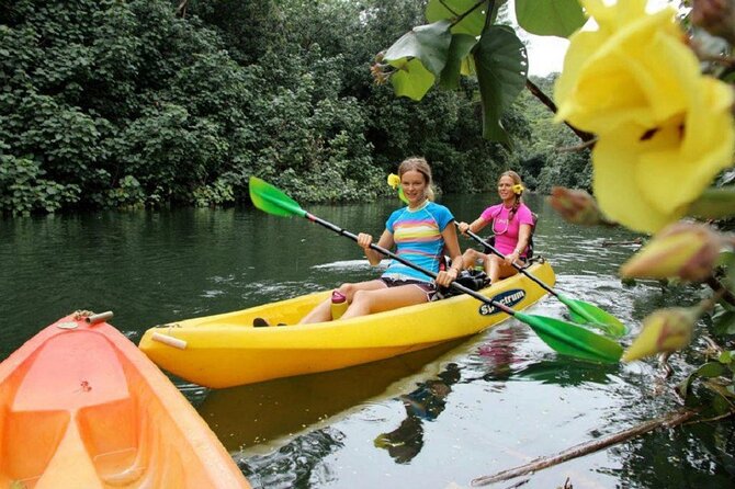 Kauai: Secret Falls Kayak and Hike - The hike to Uluwehi Falls: rainforest steps, mud, and wildlife moments