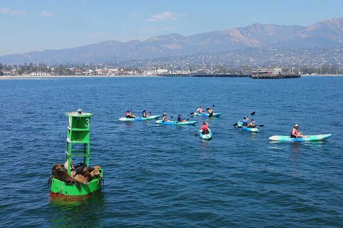Kayak Tour of Santa Barbara with Experienced Guide - The safety briefing and beginner coaching you’ll actually use