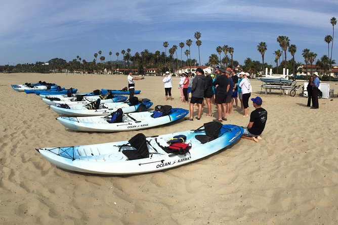 Kayak Tour of Santa Barbara with Experienced Guide - Wildlife spotting: seals, sea lions, and dolphins in the right conditions