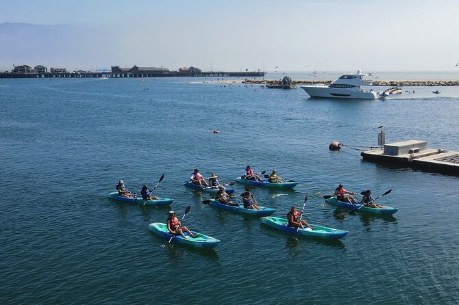 Kayak Tour of Santa Barbara with Experienced Guide - Choosing your route, timing, and how hard it will feel