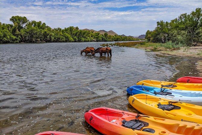 Kayaking the Salt River Foxtail Trip - The end of the trip at Foxtail: shuttle pickup and a calm finish
