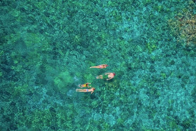 Kealakekua Bay Afternoon Snorkel: Family Fun on the Kona Coast - The water slides and jumping platform, where families win the day