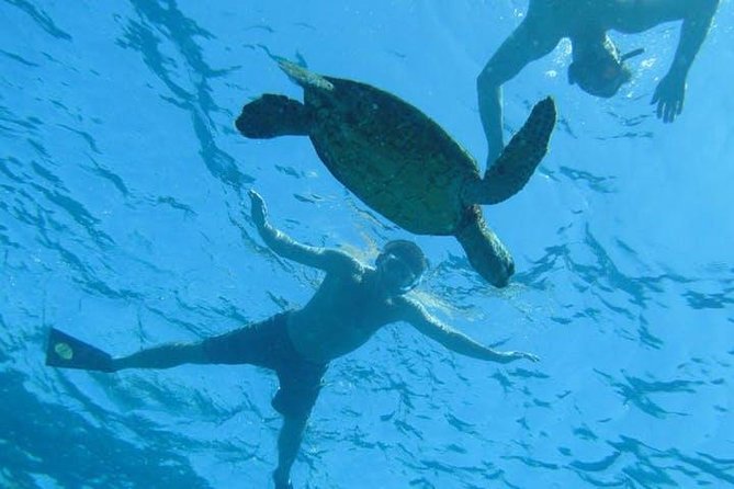 Kealakekua Bay Captain Cook Snorkel Exclusive - Kealakekua Bay from the boat, where the day starts