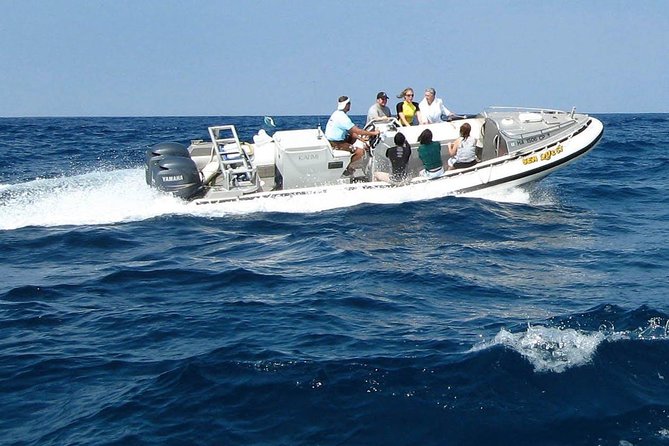 Kealakekua Bay Captain Cook Snorkel Exclusive - Wildlife viewing odds, from turtles to humpbacks