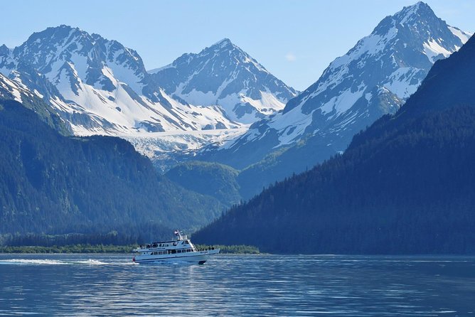 Kenai Fjords and Resurrection Bay Half-Day Wildlife Cruise - What is included, what costs extra, and whether $165.93 feels fair