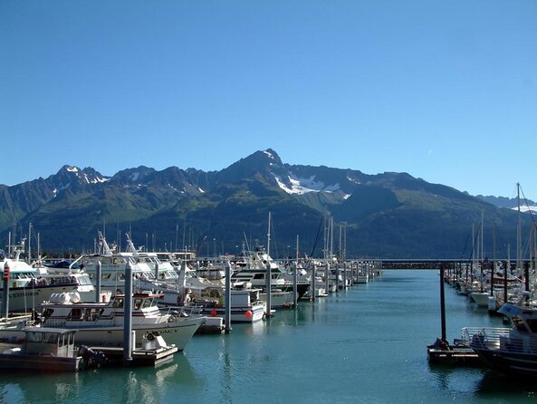 Kenai Fjords and Resurrection Bay Half-Day Wildlife Cruise - Should you book this Kenai Fjords and Resurrection Bay half-day cruise?